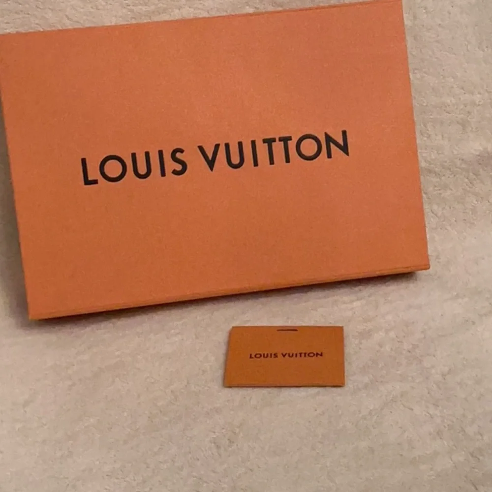 12x8x2,25 Louis Vuitton magnetic closer orange color  new